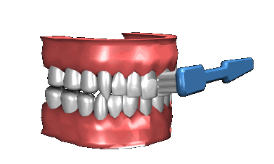 مسواک زدن برای کودکان
