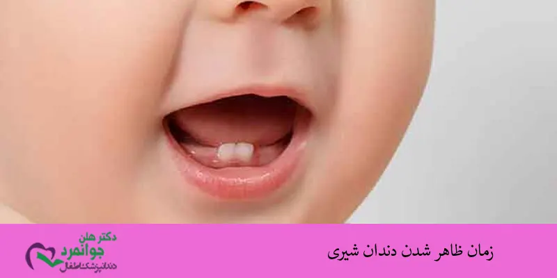 زمان-رویش-دندان-شیری